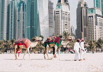 Crazy dubai