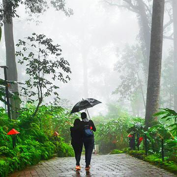 Exoyic Kerala Tour Packages – 6 Nights / 7 Days