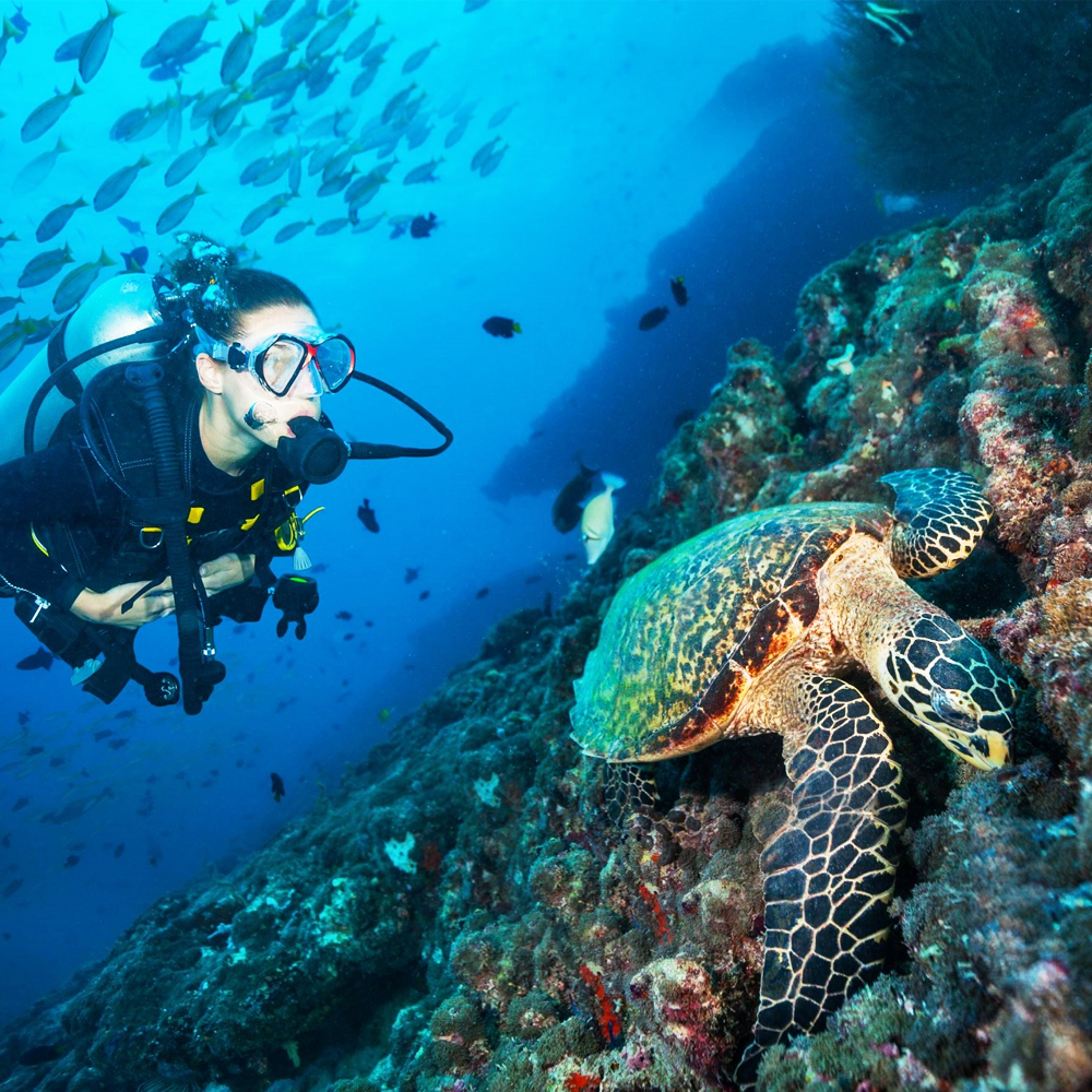 MALDIVES – LUXURY PACKAGE – 4 NIGHTS / 5 DAYS