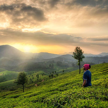 Munnar Honeymoon package