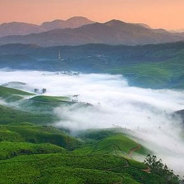 Munnar Honeymoon package