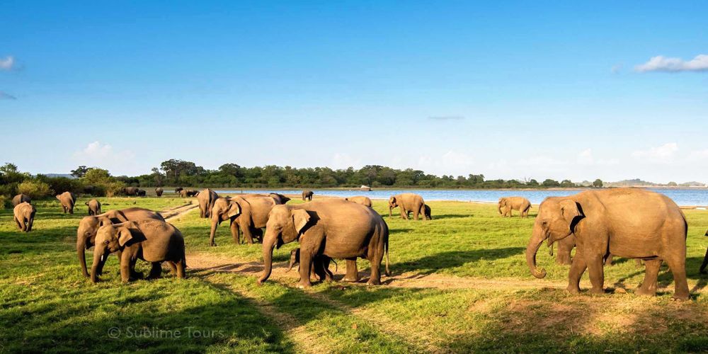 Sri Lanka - Scenic